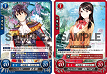 box_2_sleeves.png